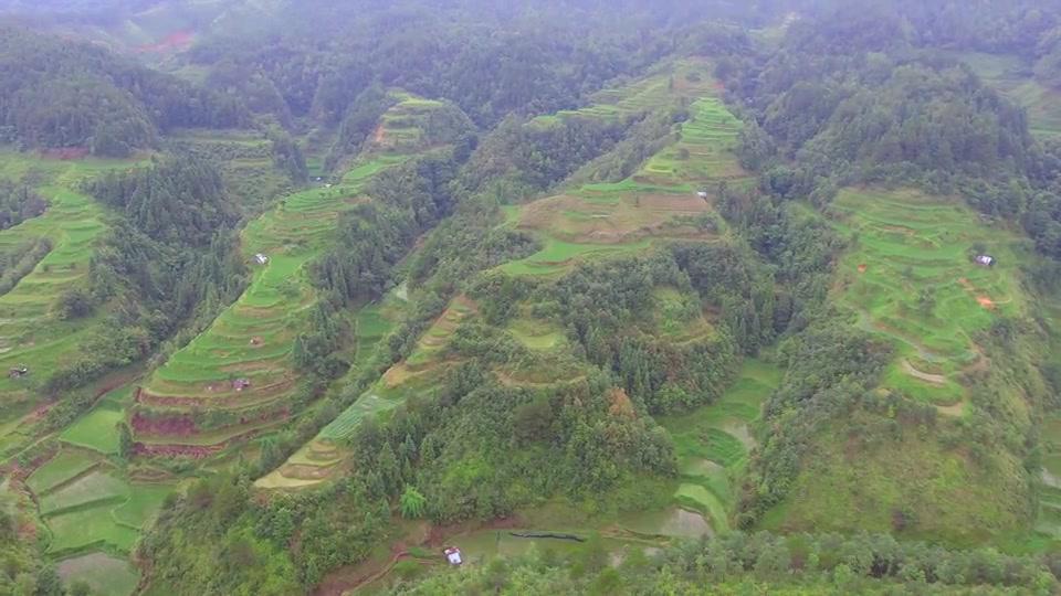 达人分享！大乐斗2龙脉“高情逸态”