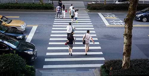 达人分享！斑马线和斑马有什么关系“空谷幽兰”