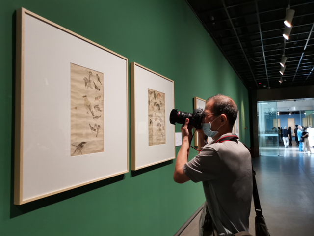 达人分享！誓鸟的含义“桃红柳绿”