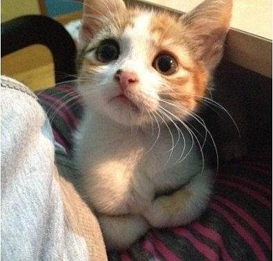 达人分享！围棋谁先走“一抹红尘”