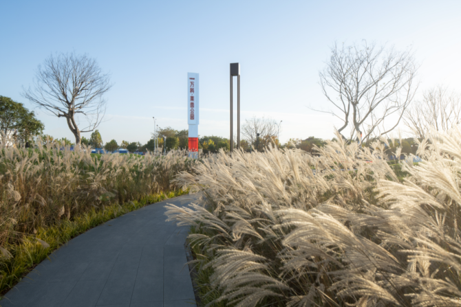 达人分享！present的同义词“一抹红尘”