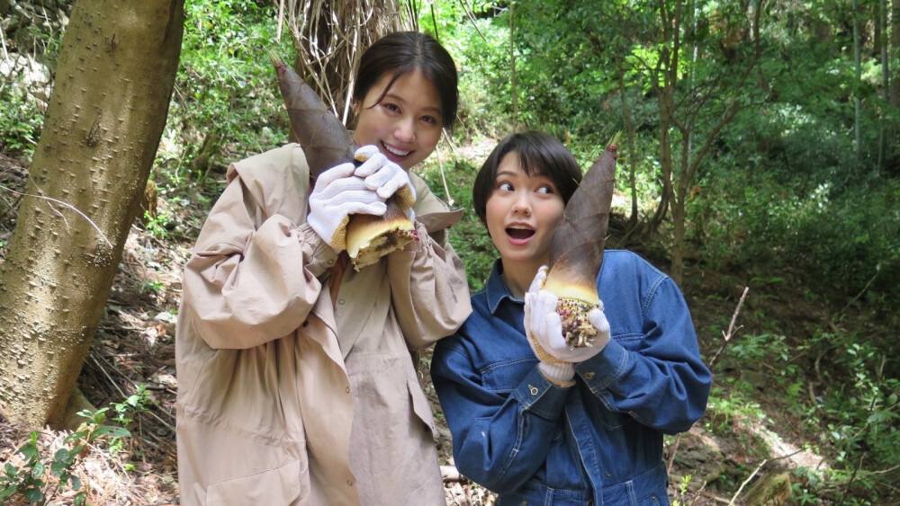 讲解！h动漫电影网站“纯一不杂”