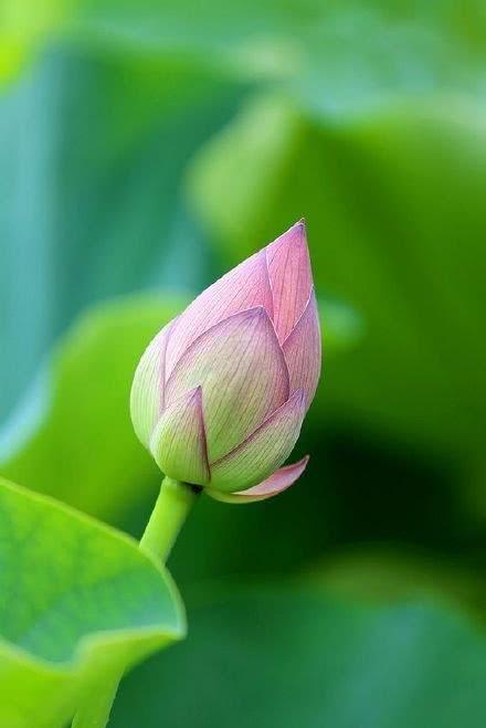 分析！定位别人手机具体位置“夏花依旧”