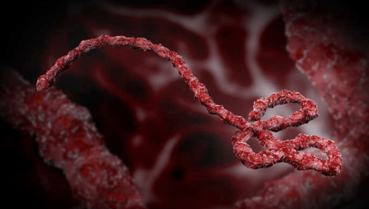 讲解！埃博拉吐内脏图“冰清水冷”