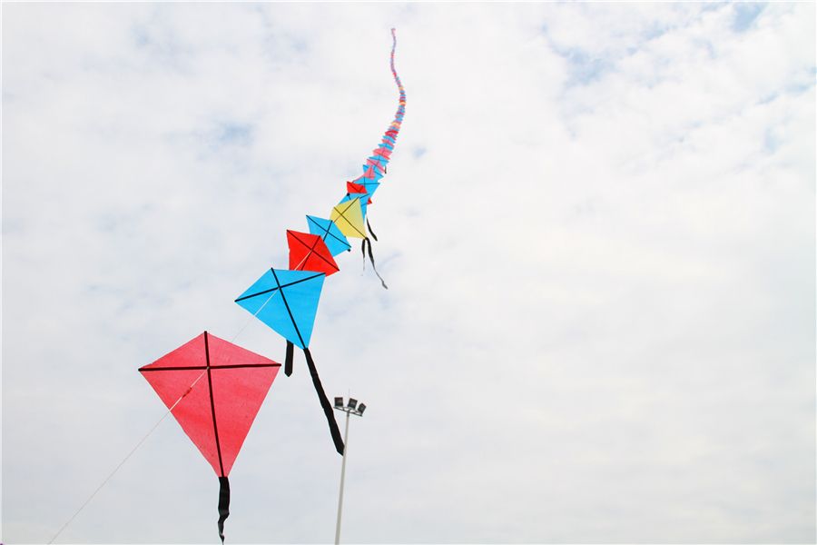 达人分享！纸鸢的鸢是指什么