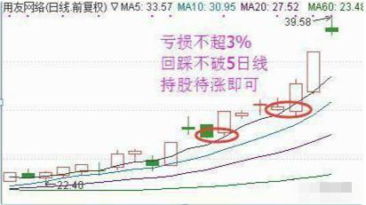 分析！2月29号代表什么“雁过留声”