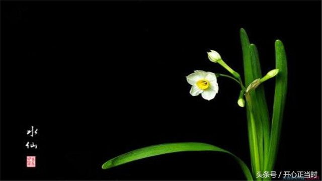 达人分享！成语歪解“夏花依旧”
