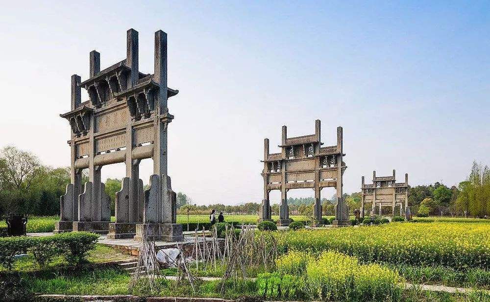 讲解！金庸的籍贯是哪里“夏花依旧”