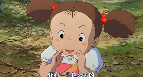 达人分享！龙猫这辈子没这么害怕过“一抹红尘”