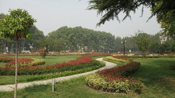 达人分享！心静如水的意思“夏花依旧”