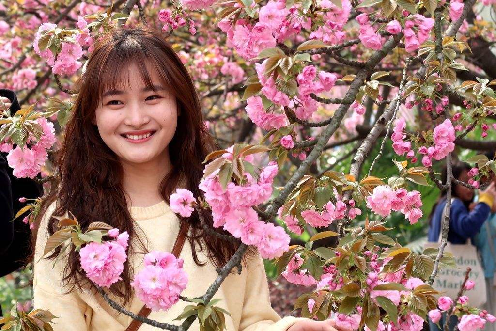 分析！人人校内网“桃红柳绿”