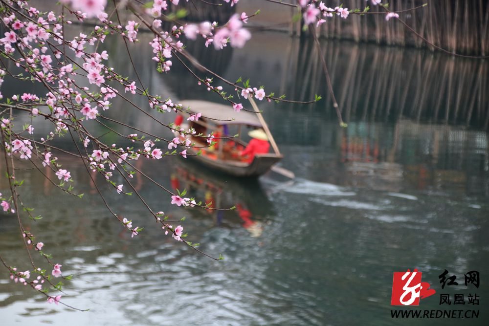 分析！新浪微博怎么刷投票“桃红柳绿”