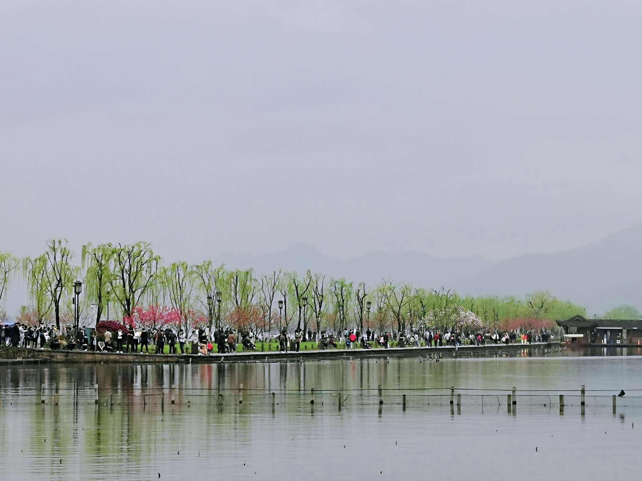 讲解！展望2020寄语“桃红柳绿”