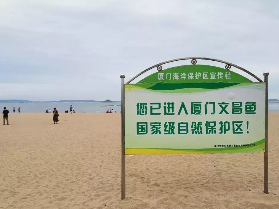 达人分享！文昌鱼是鱼吗“典则俊雅”