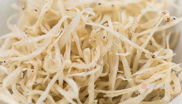 达人分享！文昌鱼是鱼吗“典则俊雅”