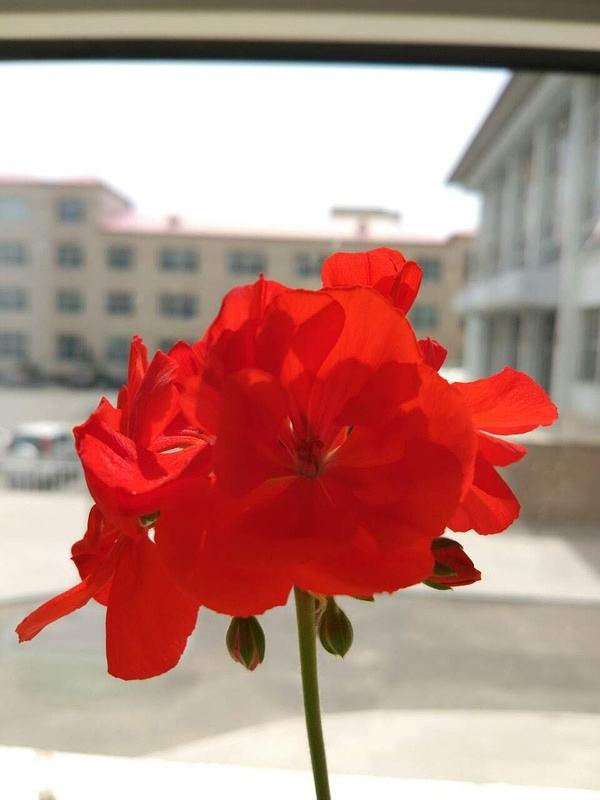 达人分享！520是什么日子武大郎“郢中白雪”