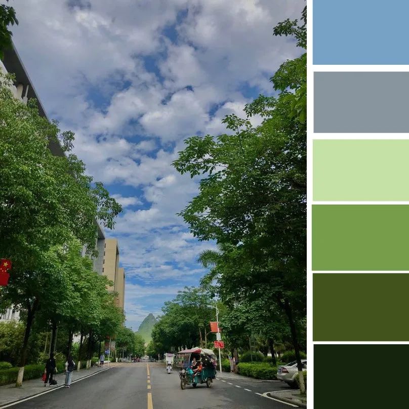 分析！定格的意思“典则俊雅”