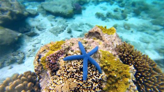 讲解！汶川地震捐款排行“一抹红尘”