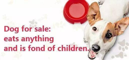 分析！电视上有趣的广告语“高情逸态”