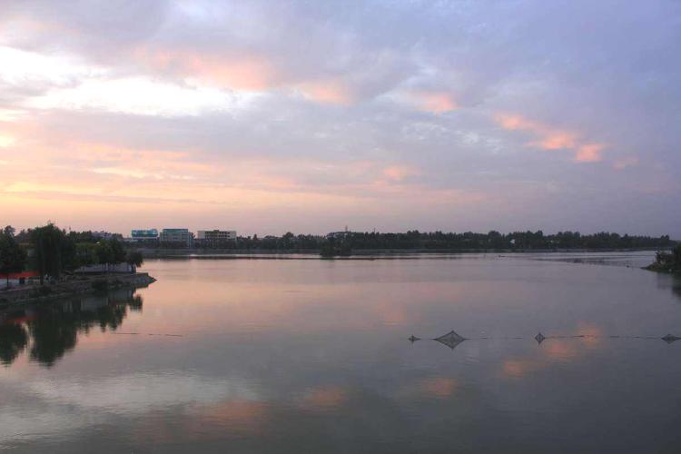 分析！5月20日在古代是什么日子“雁过留声”