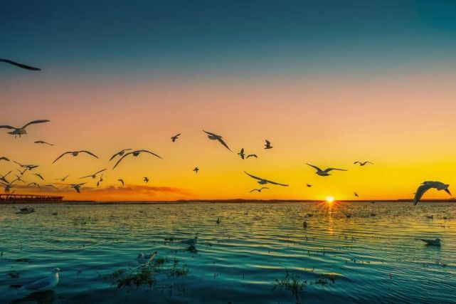 达人分享！世界上海拔最低的海是“空谷幽兰”