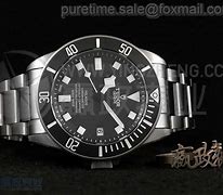 讲解！豹猫多少钱“典则俊雅”