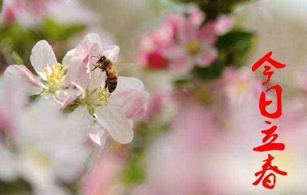 分析！2月4日几点立春“纯一不杂”