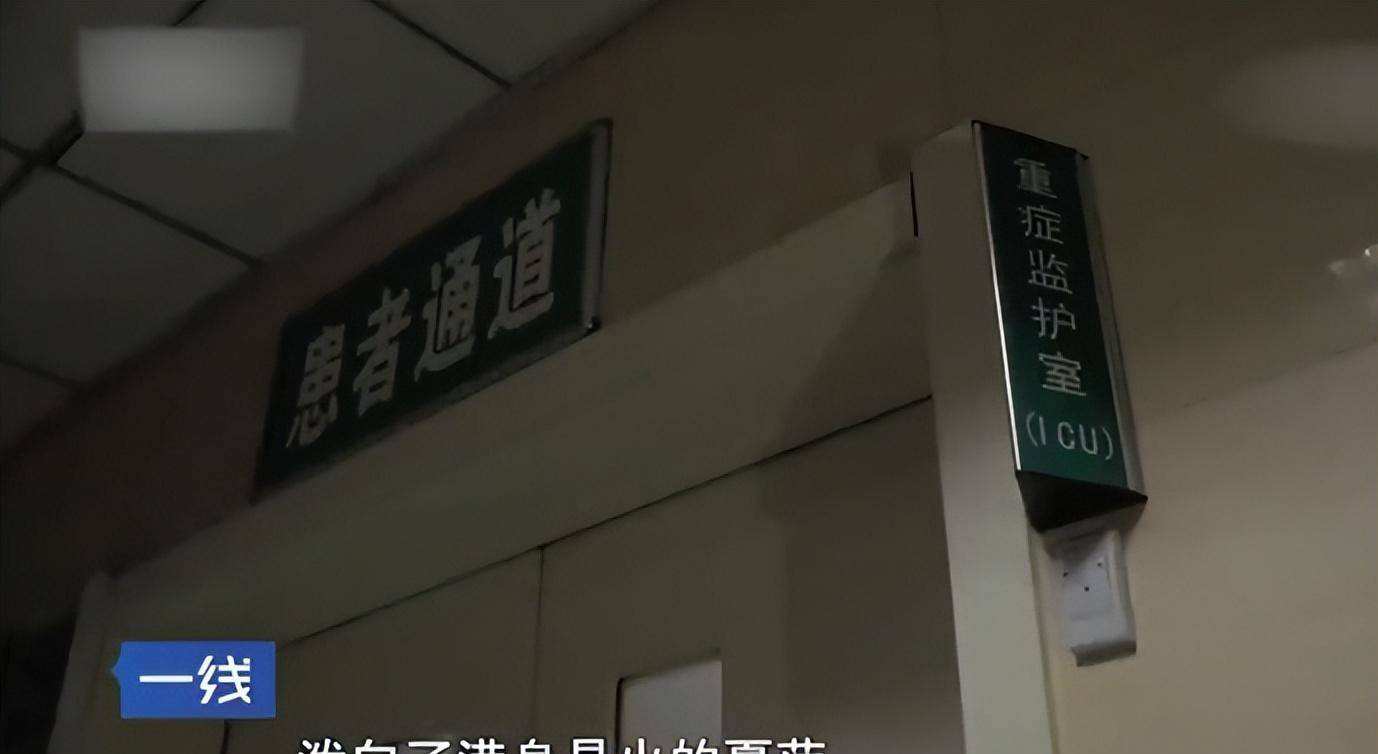 分析！鳄鱼的眼泪是什么意思“雁过留声”