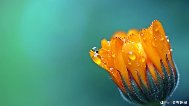 分析！心宽路就宽“雁过留声”