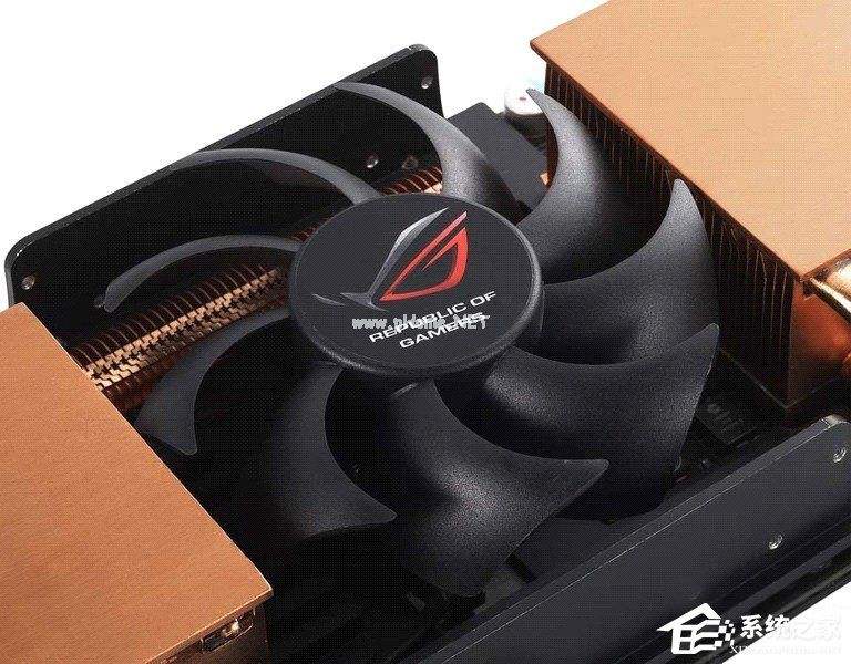 讲解！医用蛆“冰清水冷”