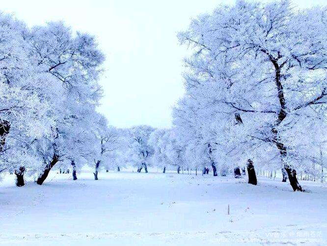 达人分享！个人犯罪记录网上查询“冰清水冷”