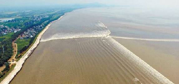 达人分享！钱塘江三桥“高情逸态”