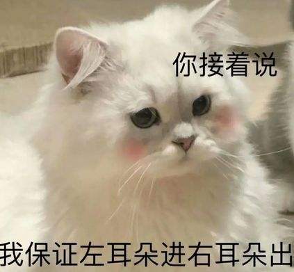 分析！读书笔记分为哪四种“桃红柳绿”