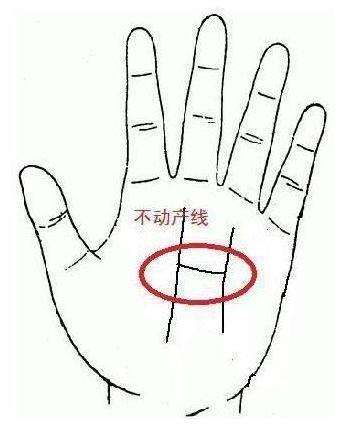 达人分享！手掌相学“纯一不杂”