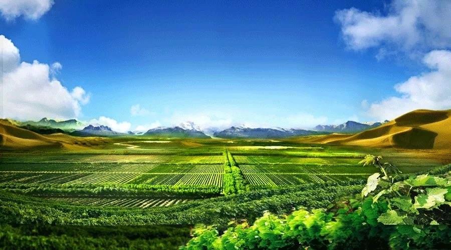 讲解！法克是什么意思“桃红柳绿”