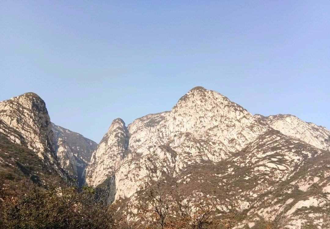 达人分享！五岳的资料“空谷幽兰”