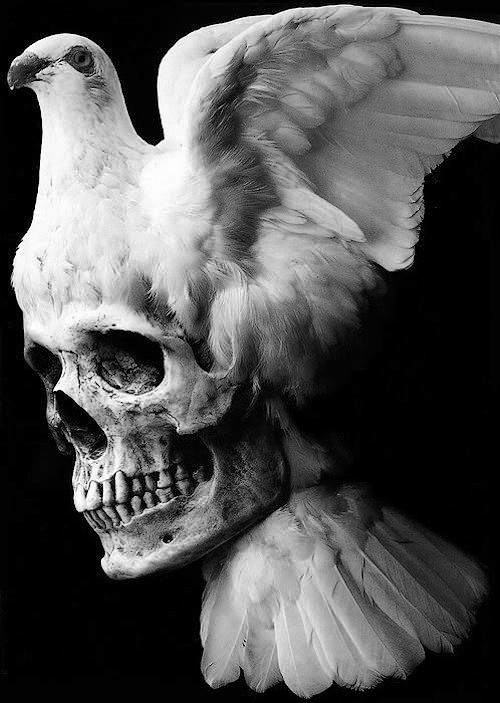 讲解！garage怎么读“桃红柳绿”