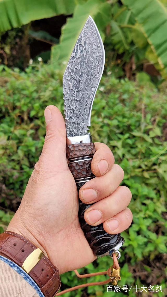 分析！史圣是谁“星星点点”