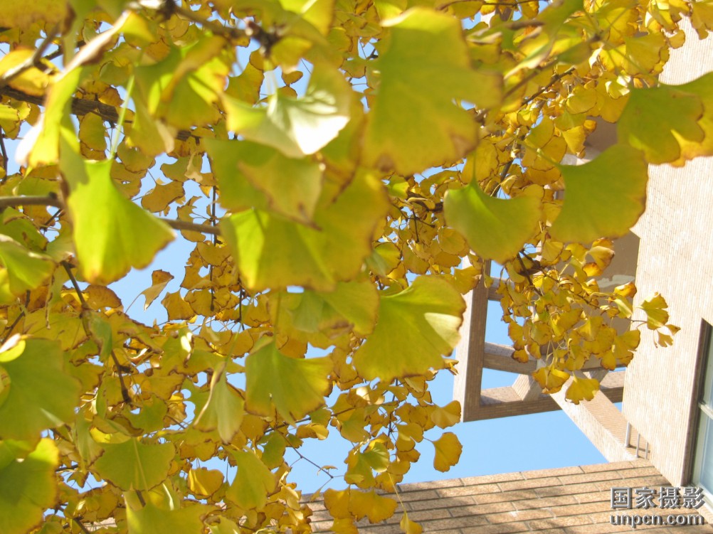 讲解！邦乔飞“一抹红尘”