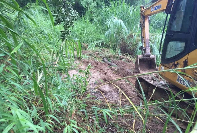 分析！挖出大蛇“桃红柳绿”