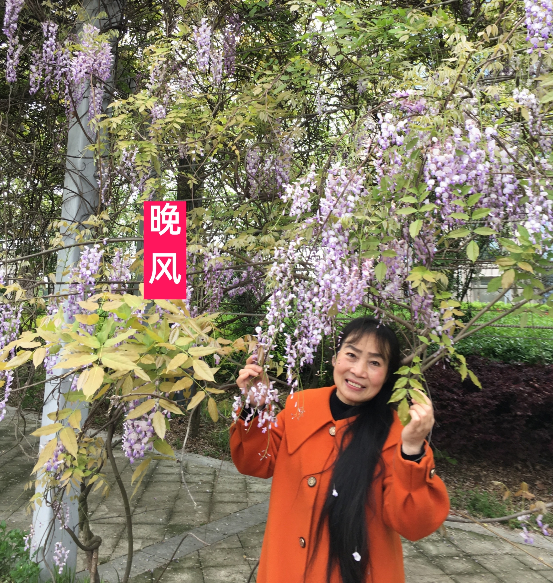 分析！如何偷偷知道对方位置“桃红柳绿”