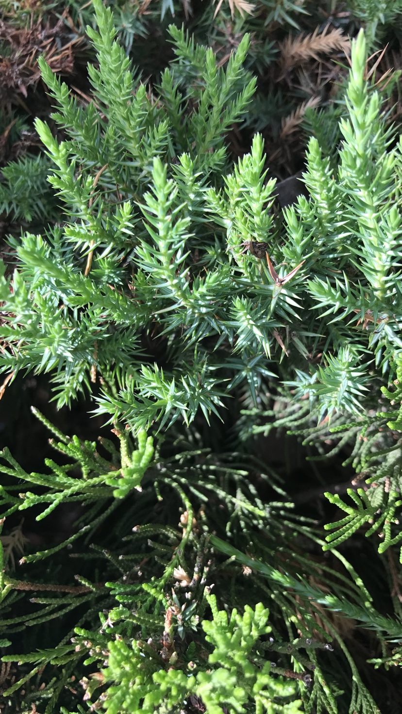 讲解！127号文件“典则俊雅”