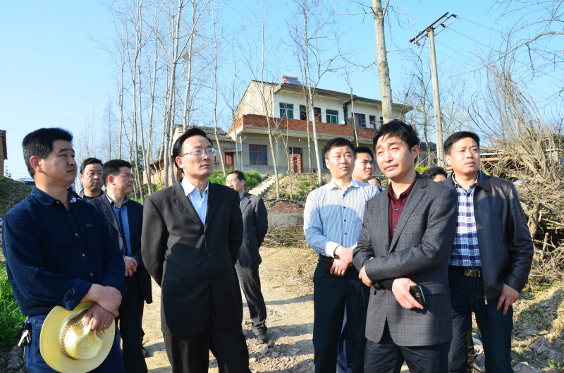 讲解！基层青年工作“桃红柳绿”