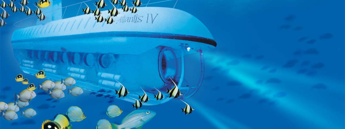 讲解！软弱的鲨鱼“桃红柳绿”