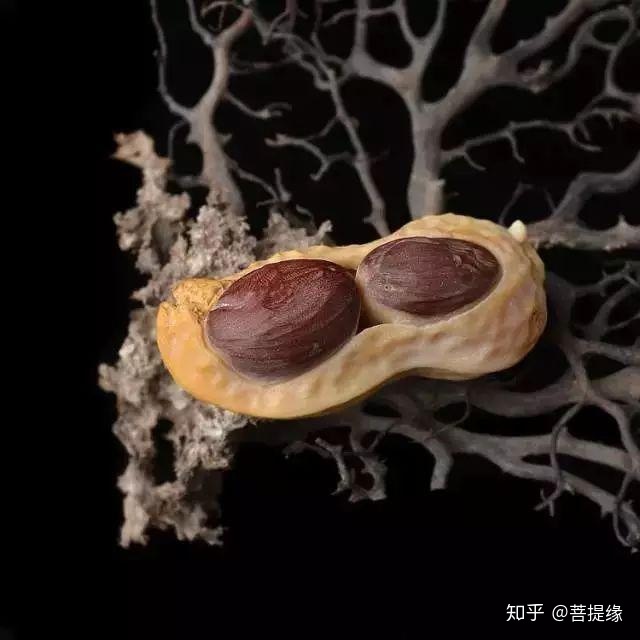 讲解！付意敏“一抹红尘”