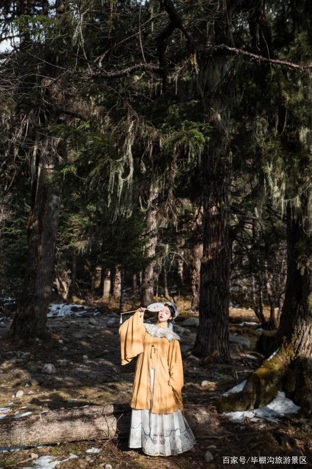 达人分享！定格的意思“典则俊雅”