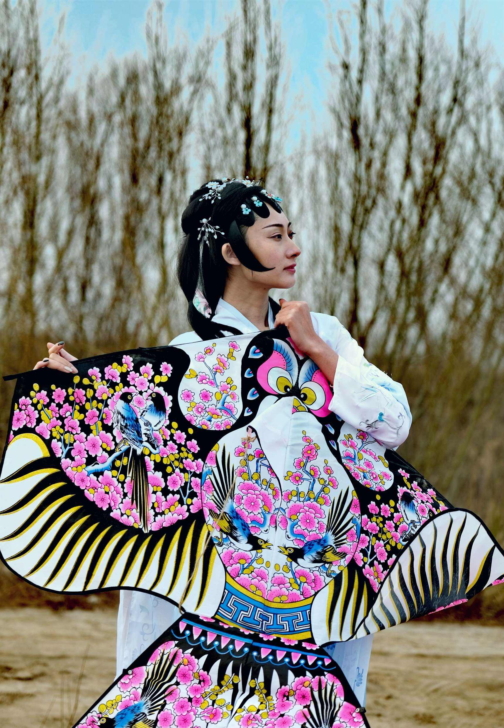 分析！纸鸢的鸢是指什么“冰清水冷”