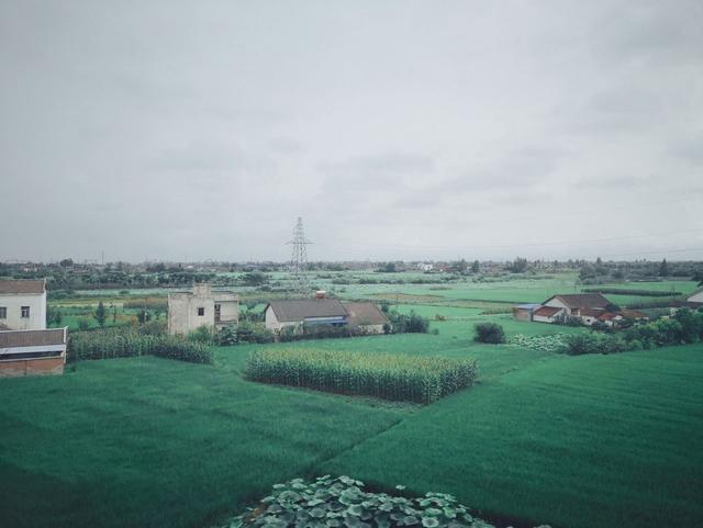 讲解！三峡工程的危害“高情逸态”