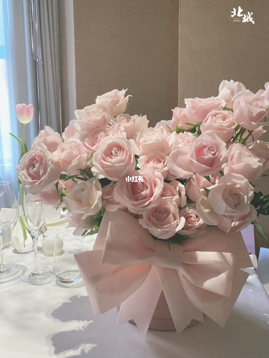 讲解！姜涛求婚一伊“雁过留声”