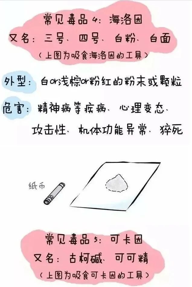 讲解！禁毒法是2008年几月几日施行“桃红柳绿”